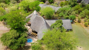 Meerkat Manor @ Zebula